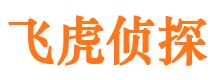 武安婚外情调查取证